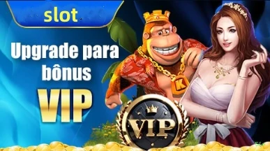 Experiência VIP 56r